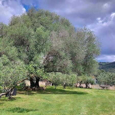 Olbia Grazioso Bilo In Periferia Villa Sole Ruiu Buitenkant foto