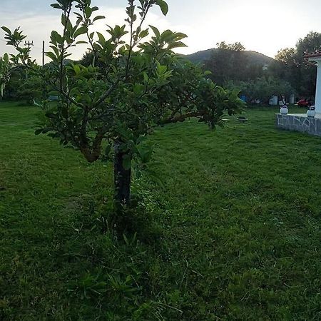 Olbia Grazioso Bilo In Periferia Villa Sole Ruiu Buitenkant foto