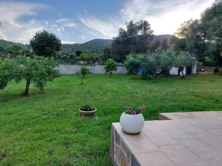 Olbia Grazioso Bilo In Periferia Villa Sole Ruiu Buitenkant foto